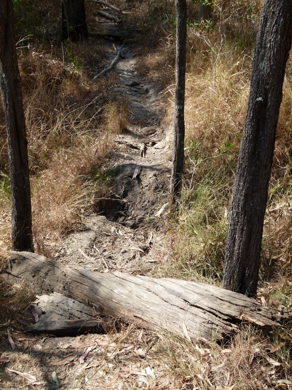 The creek and why not to ride it anymore